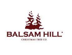 balsam-hill-holiday-preview