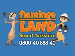Flamingo Land
