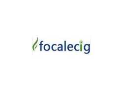 Focal Ecig
