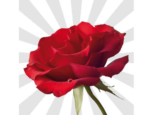 Op zoek naar een leuke date