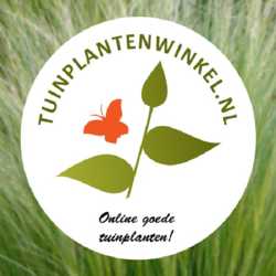 Tuinplanten Winkel
