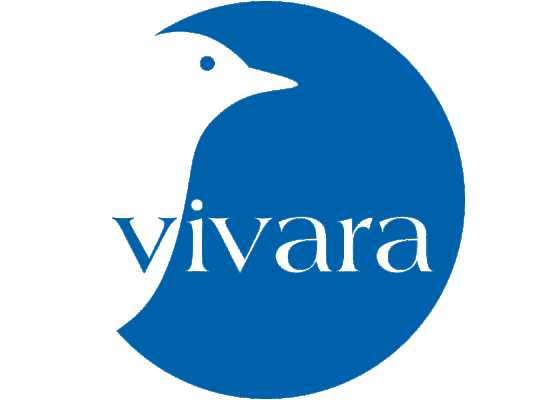 jias-encontre-alianas-brincos-pulseiras-e-outros-itens-com-design-exclusivo